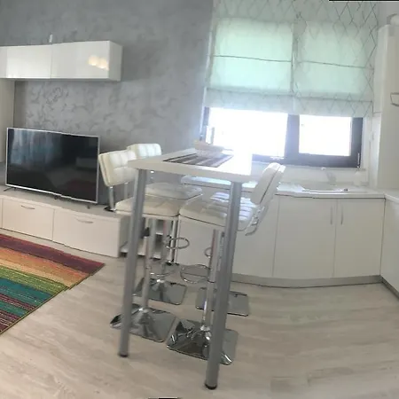 Apartament Andrei 公寓