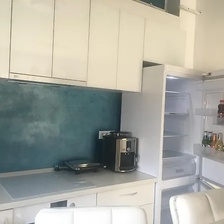 公寓 Apartament Andrei 马马亚